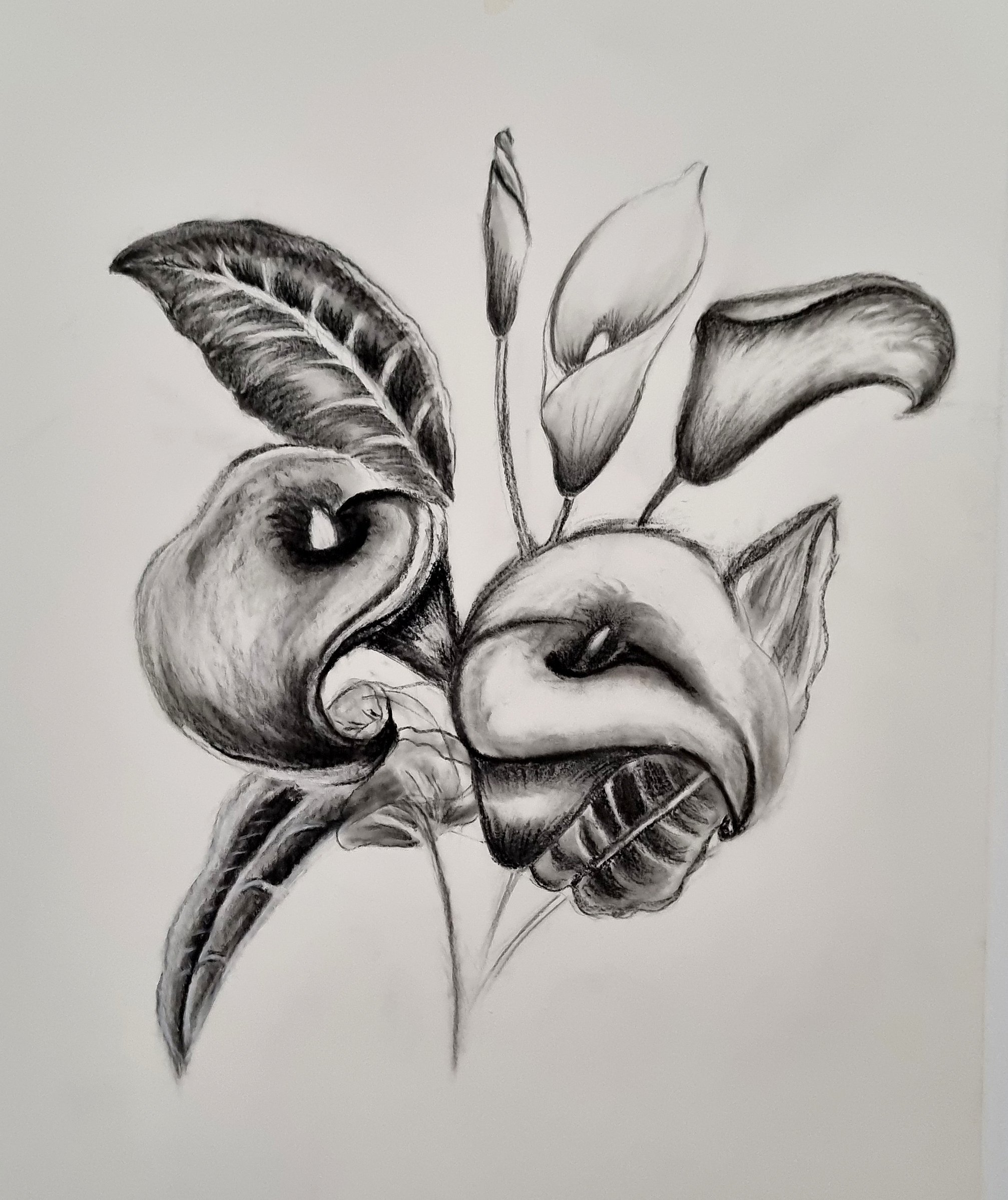 collection-image
