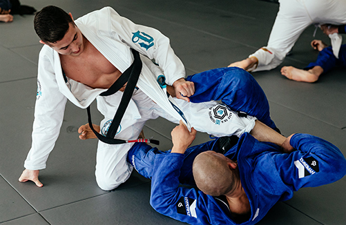 Caio Terra BJJ Gi Teaching