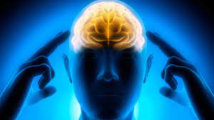 Raleigh Mental Skills Coach Basketball