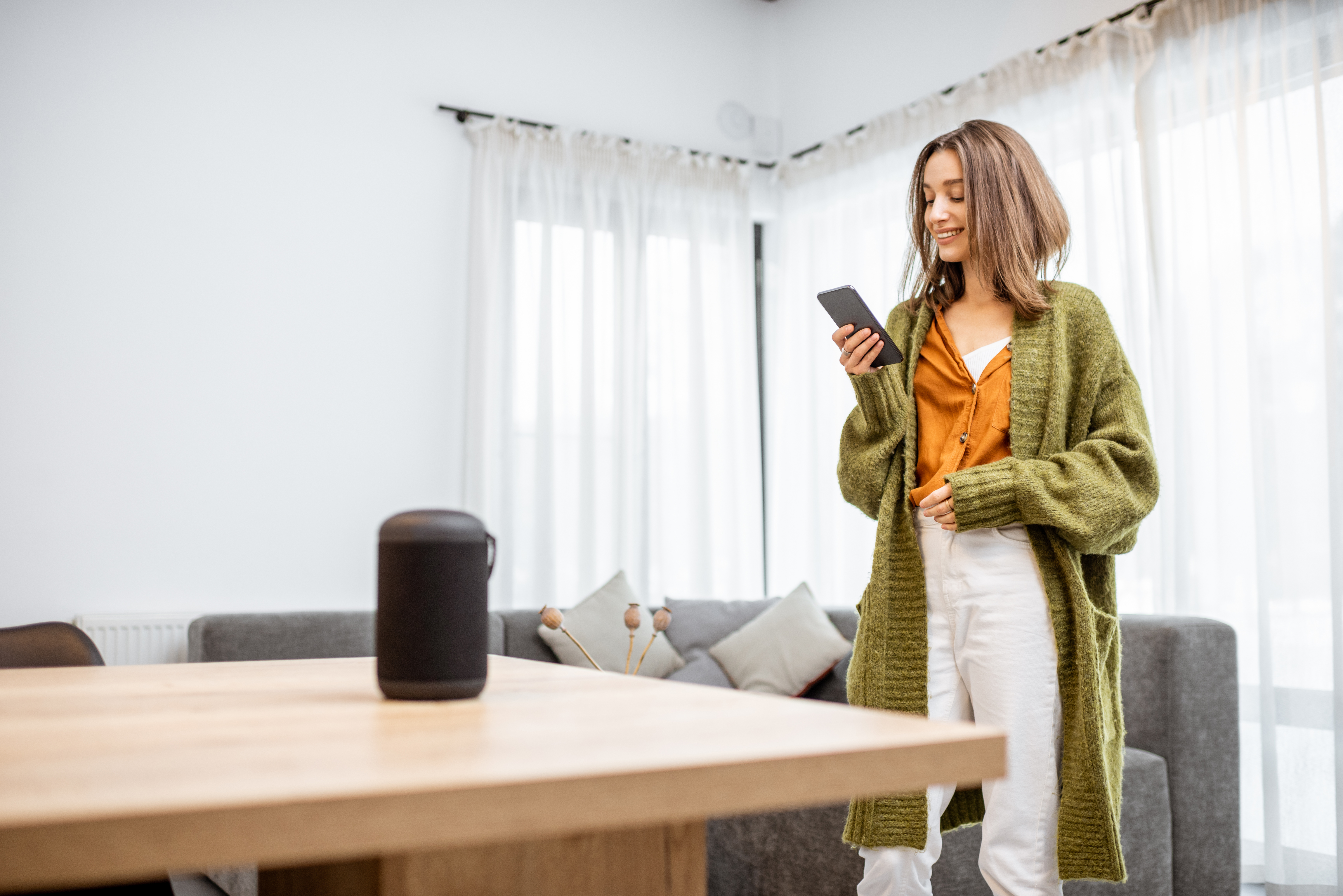 smart speaker voice control smart speaker voice control