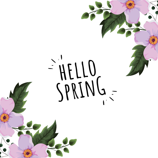 Hello Spring 