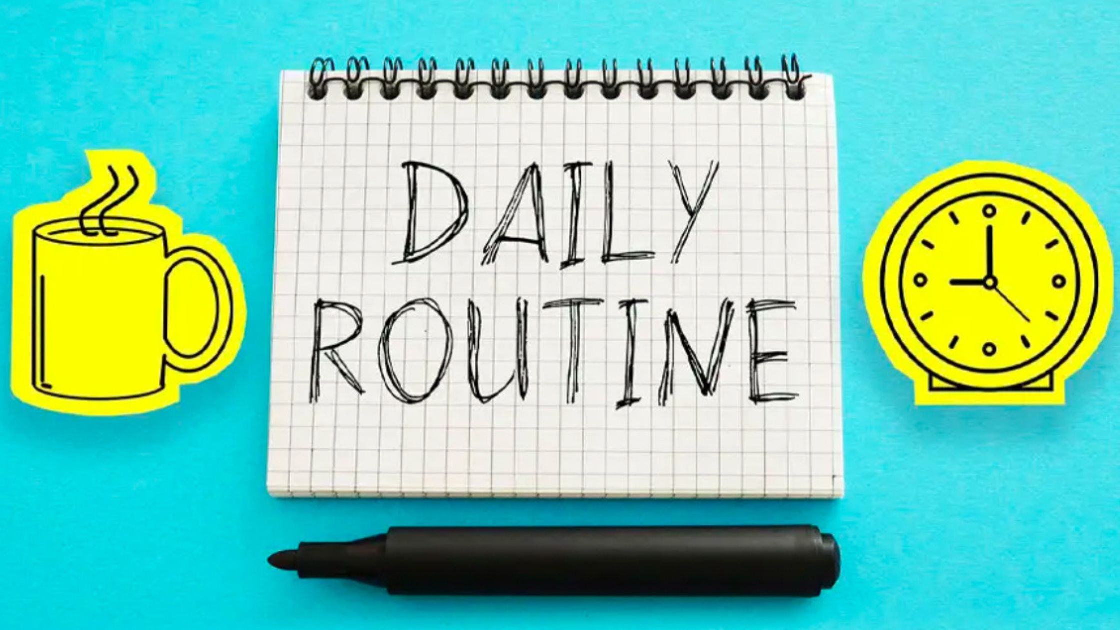 daily routine daily routine
