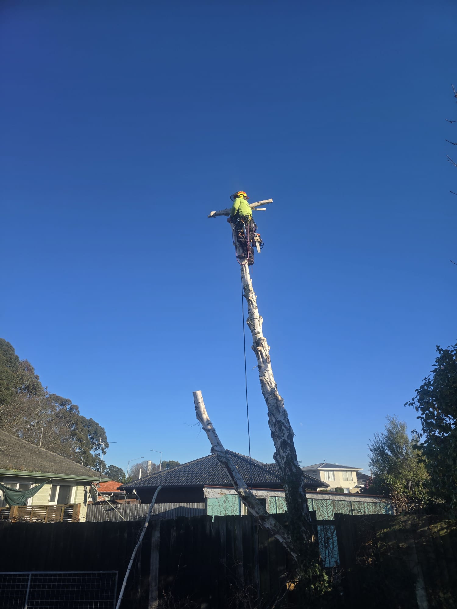 Tree cutting equipment
