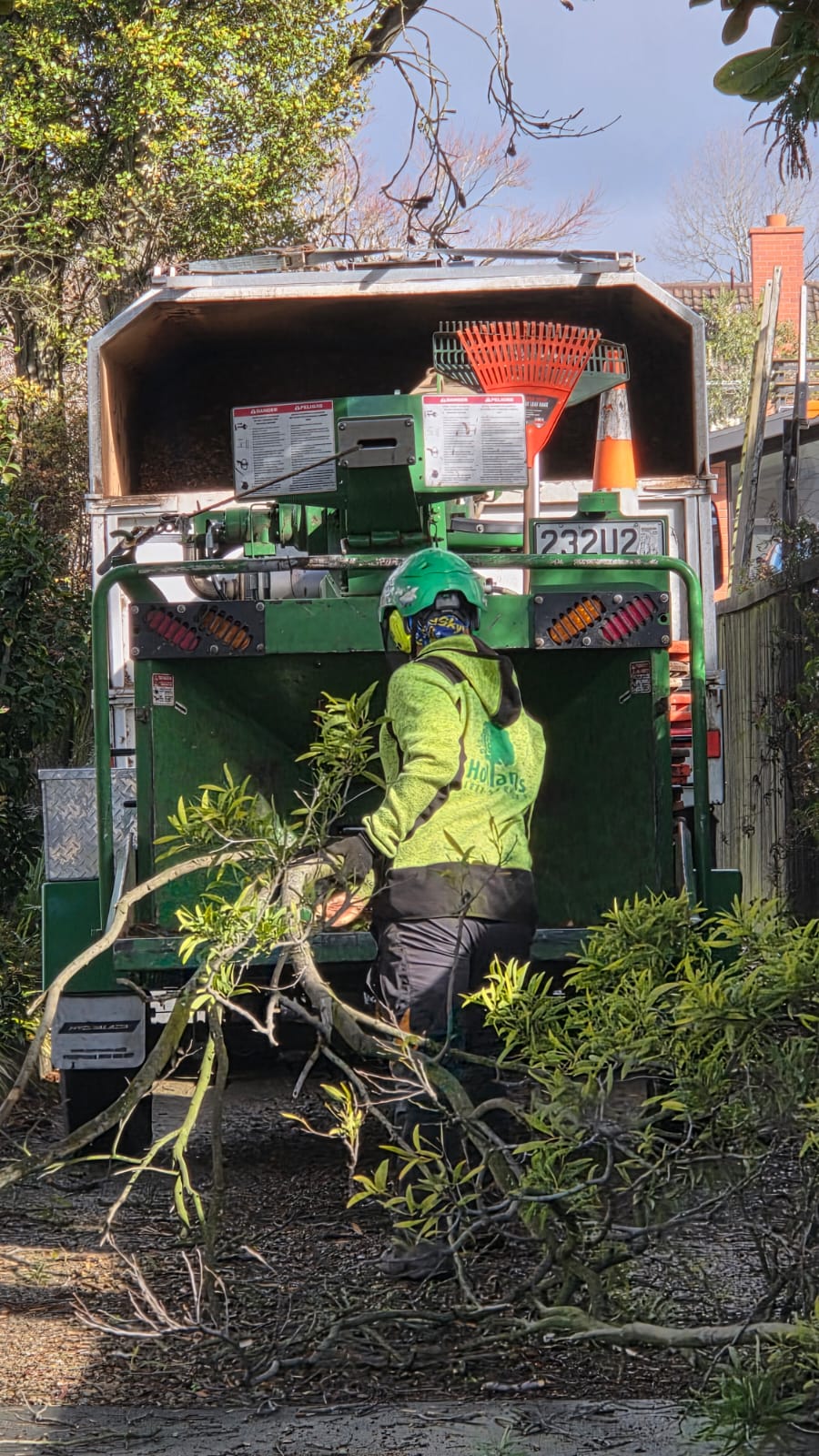 Commercial tree services Christchurch