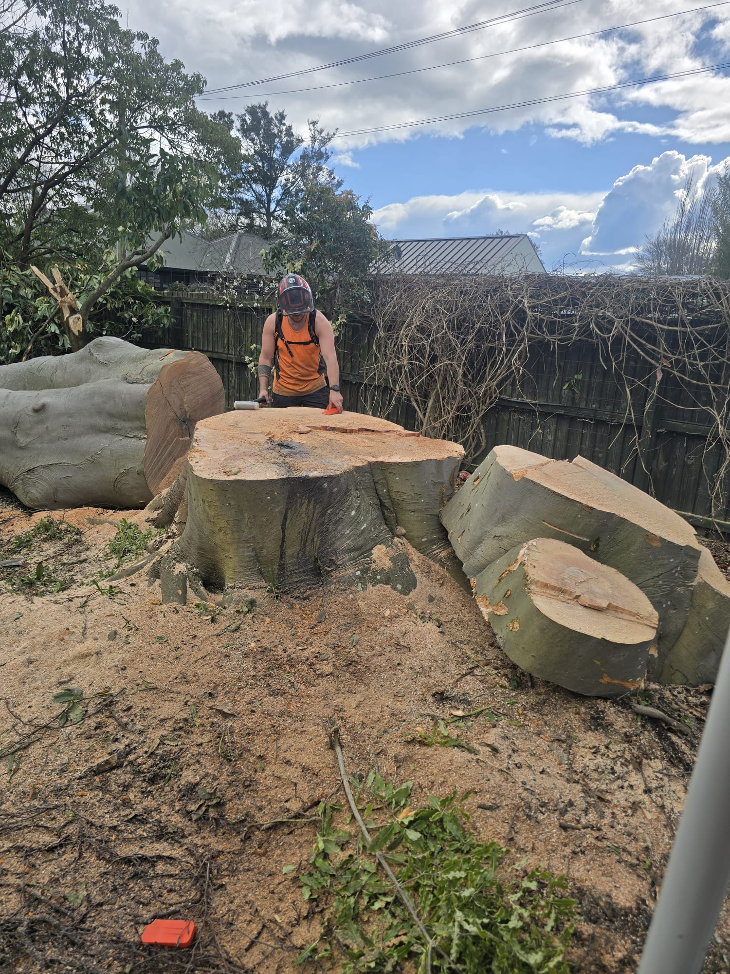 Stump grinding Christchurch
