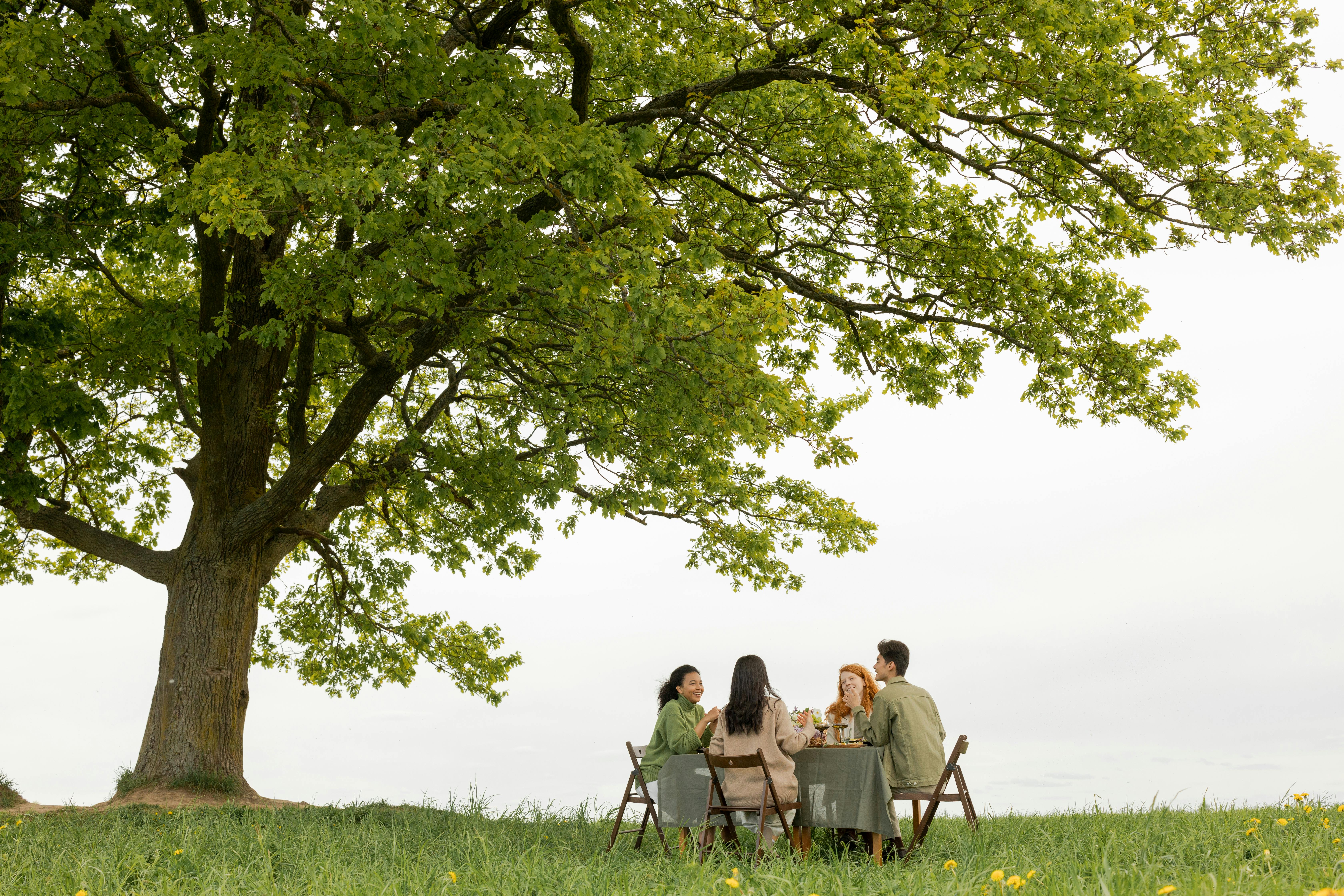Family having dinner sitting in a field by a tree under a blue sky to support blog post Understanding ADHD, Autism and Aphantasia Connection
