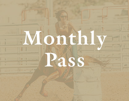 6 Sessions (Monthly)