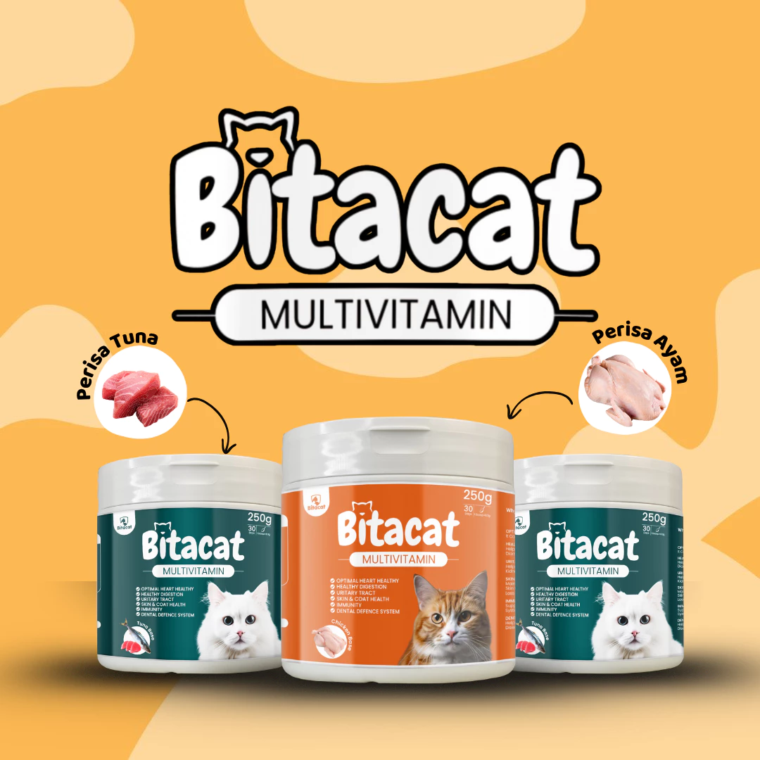 Bitacat Bottle