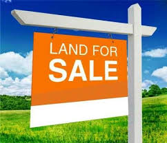 For Sale Sign For Sale Sign