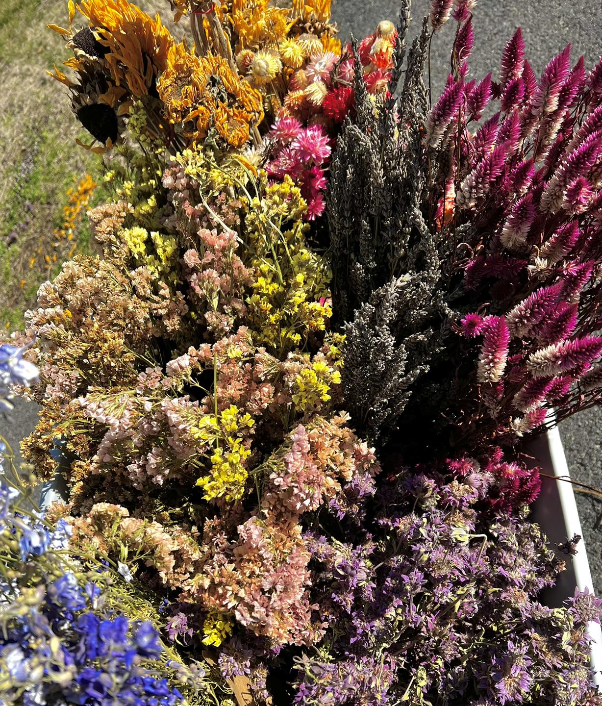 Blossoming Roots
