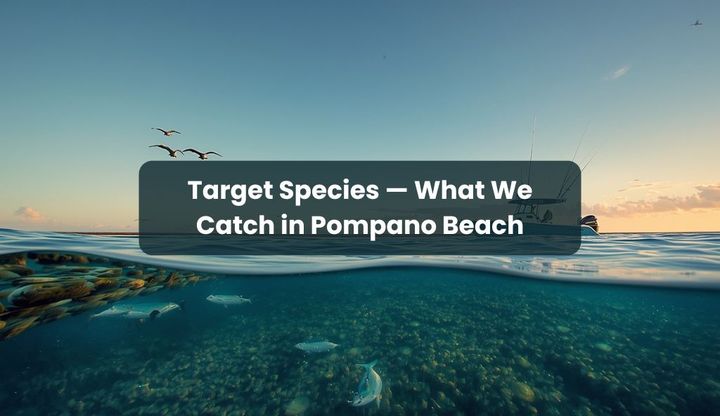 Target Species: Pompano Beach Game Fish | RingMaster Charters