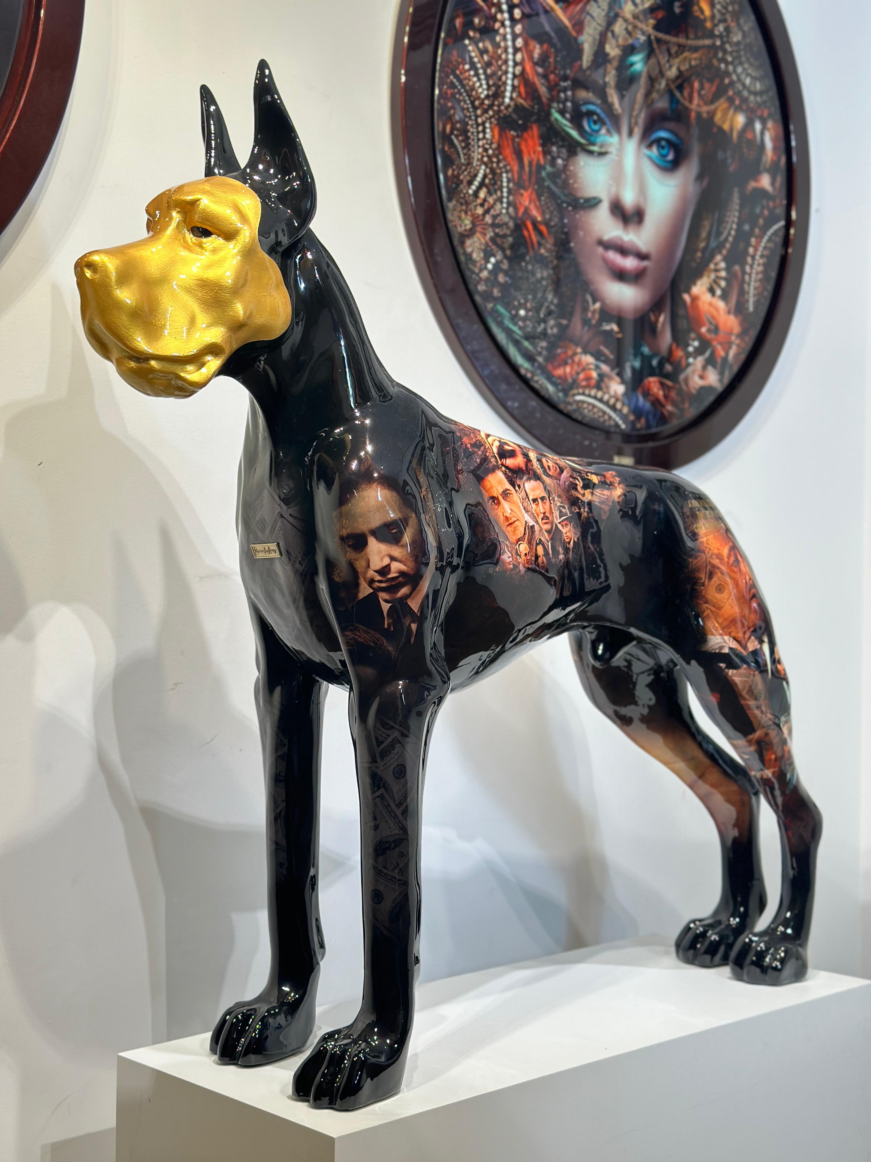 collection-image