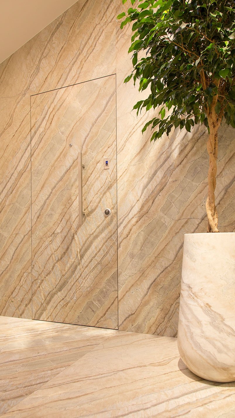 Luxury Door Project 6