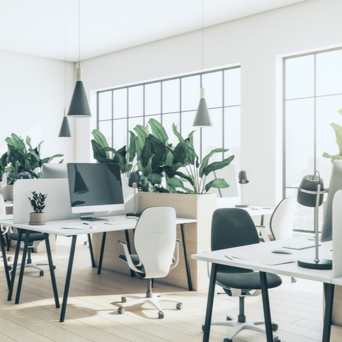 Plants in an office