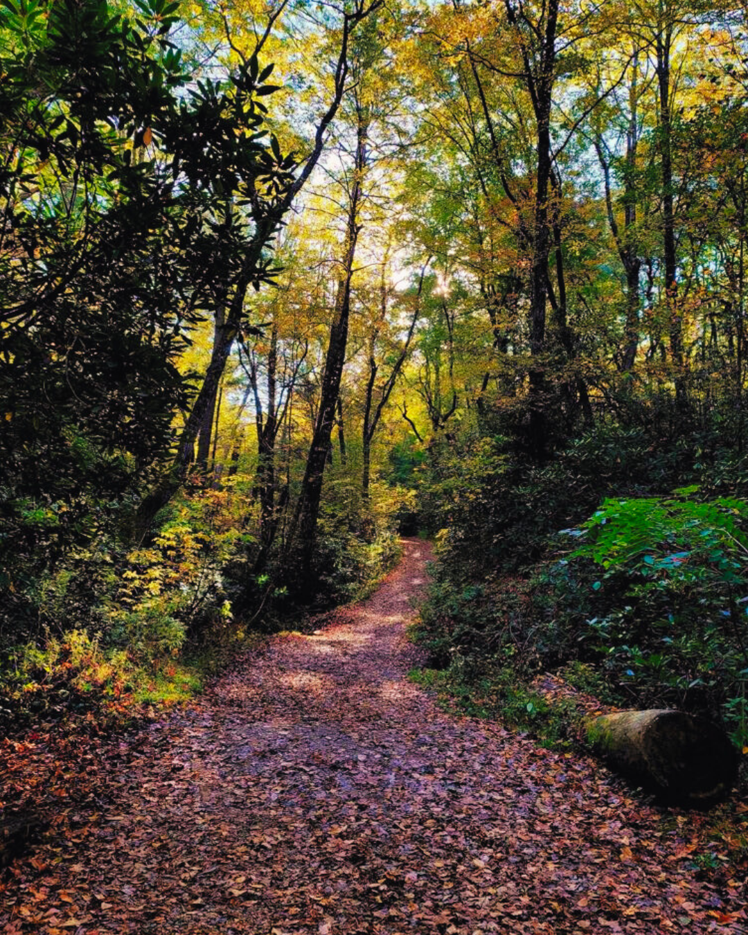 outdoor trail outdoor trail
