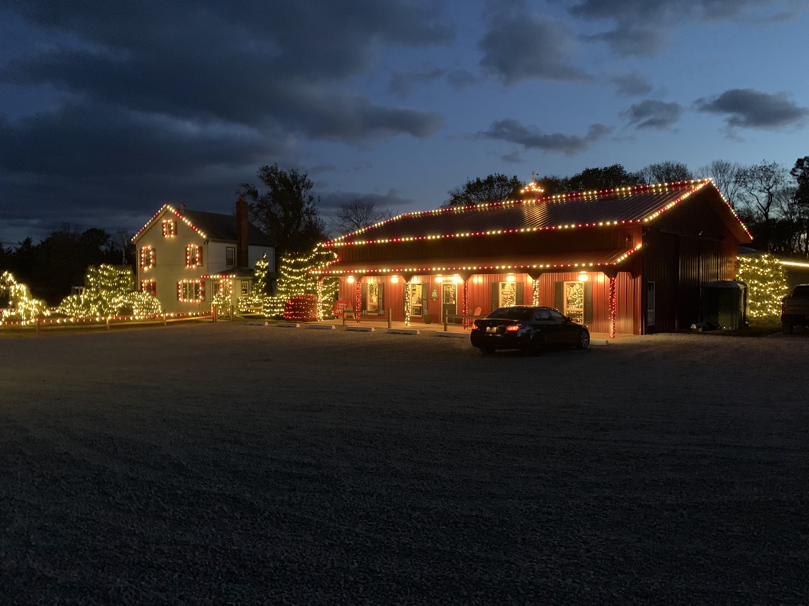 Christmas lights