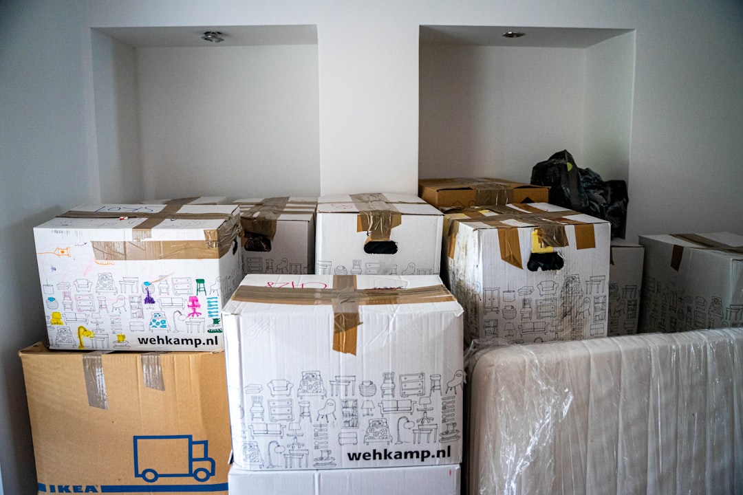 Senior move manager helps an older adult sort keepsakes and prepare for downsizing in a North Texas home