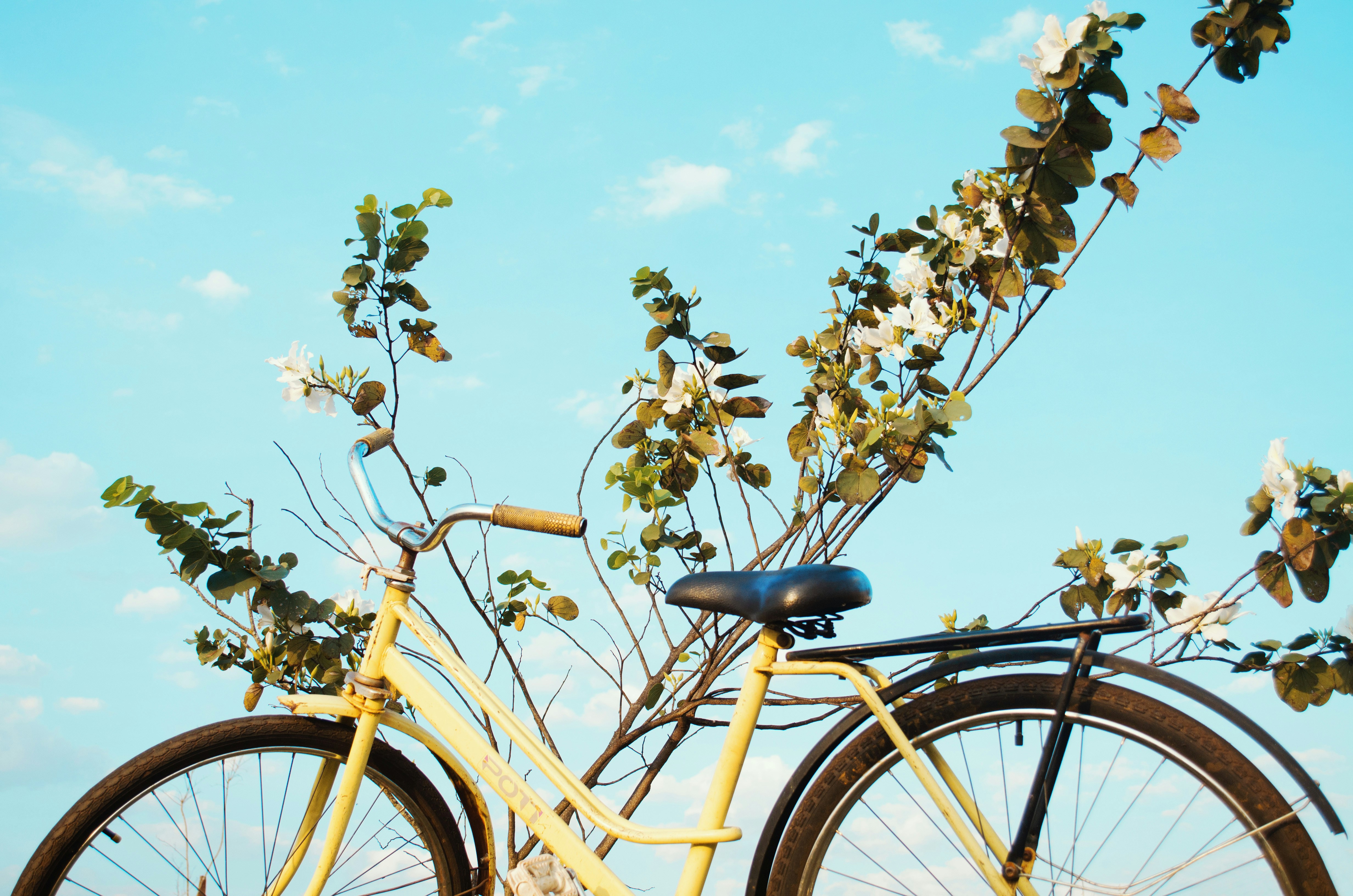 yellow bike