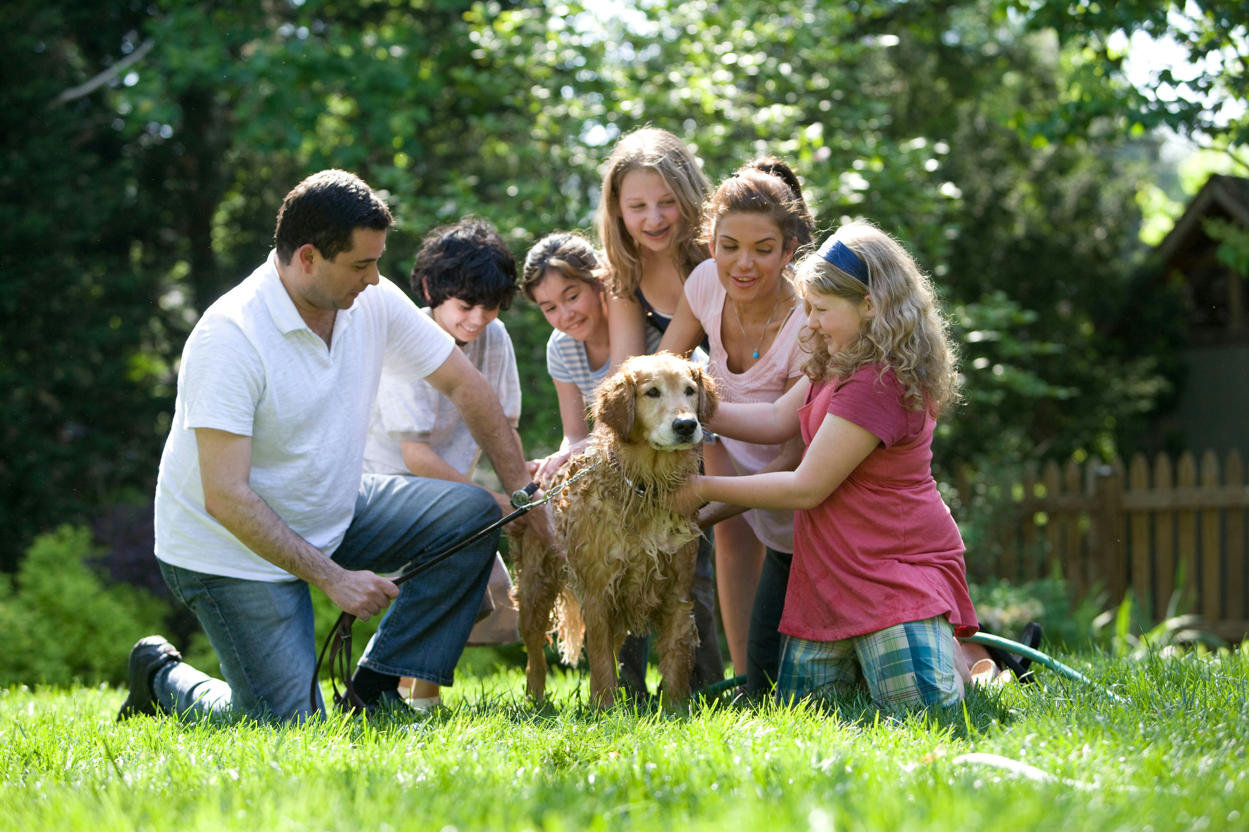 parenting, marriage, personal growth, family