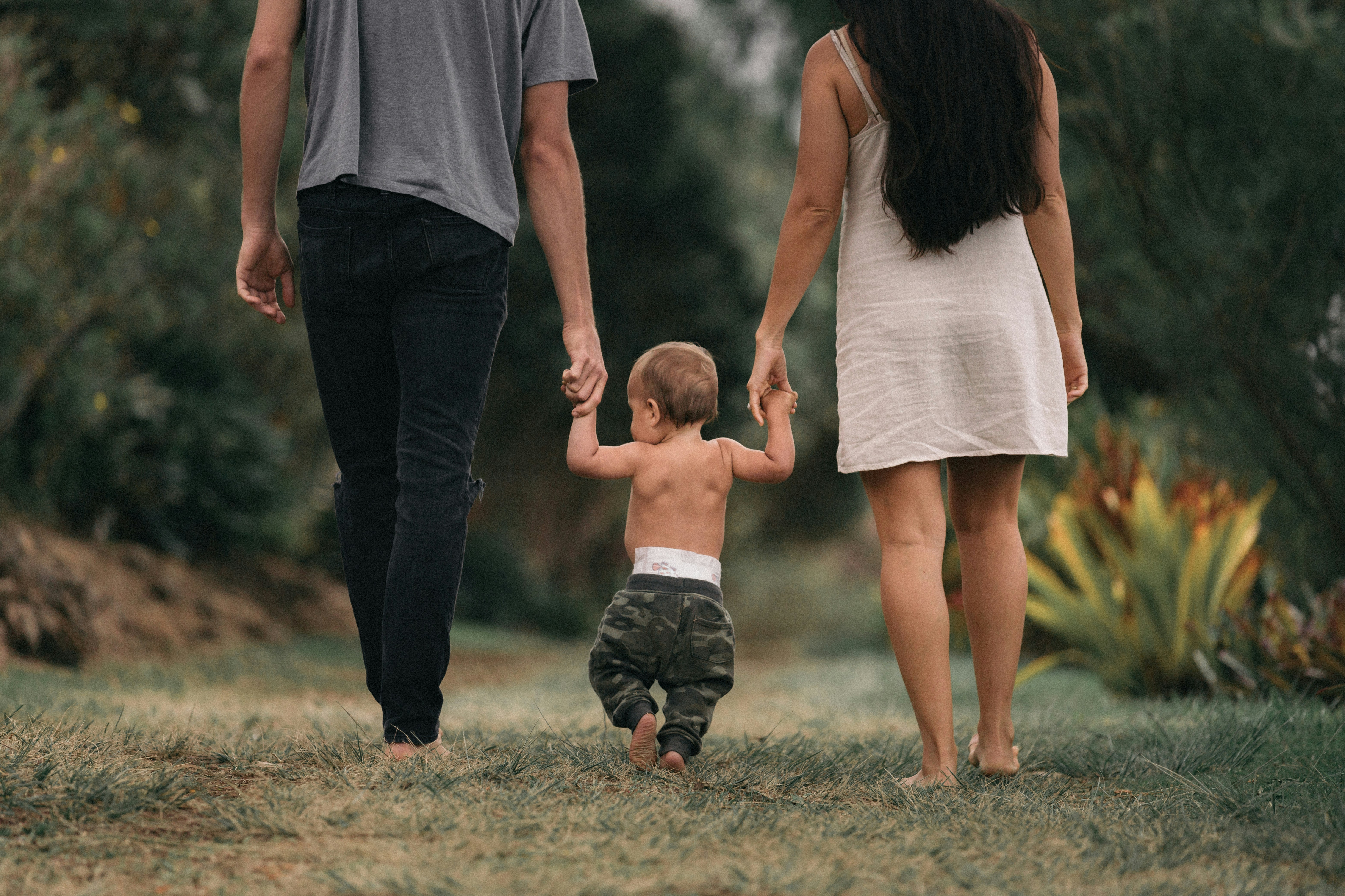 Family 