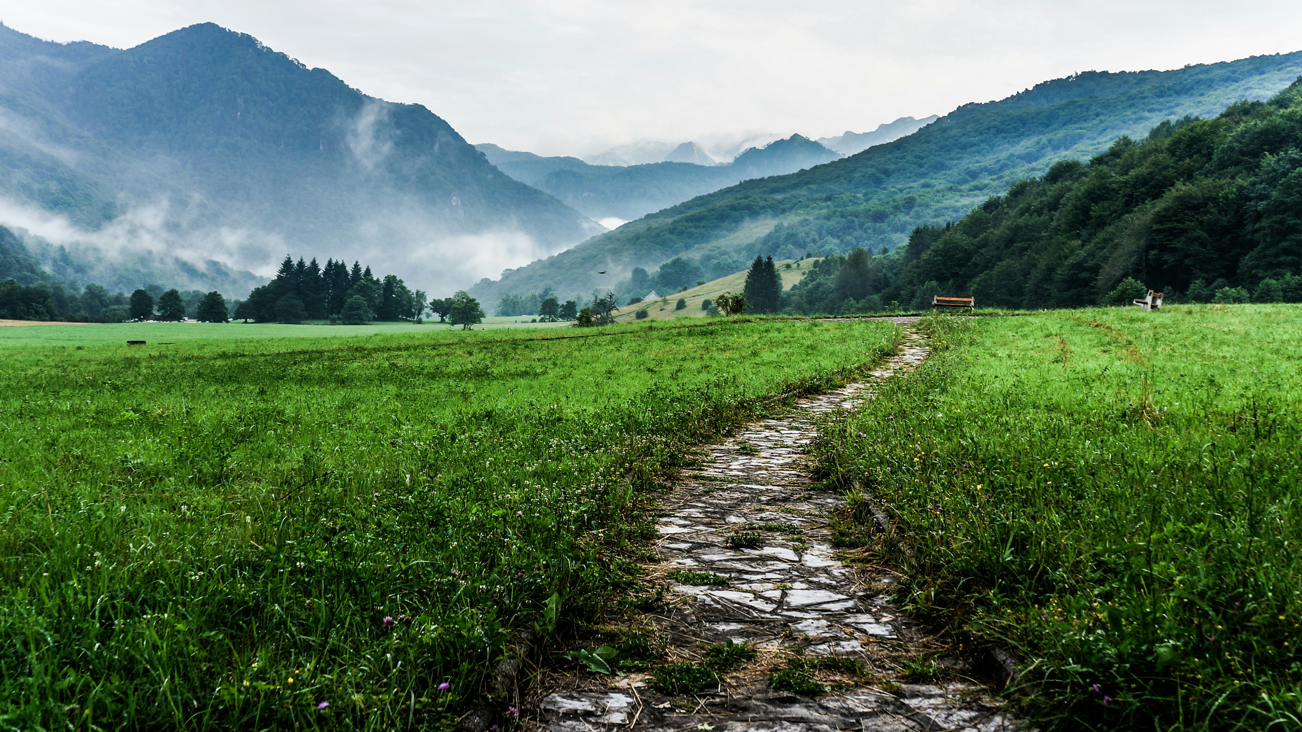 Path