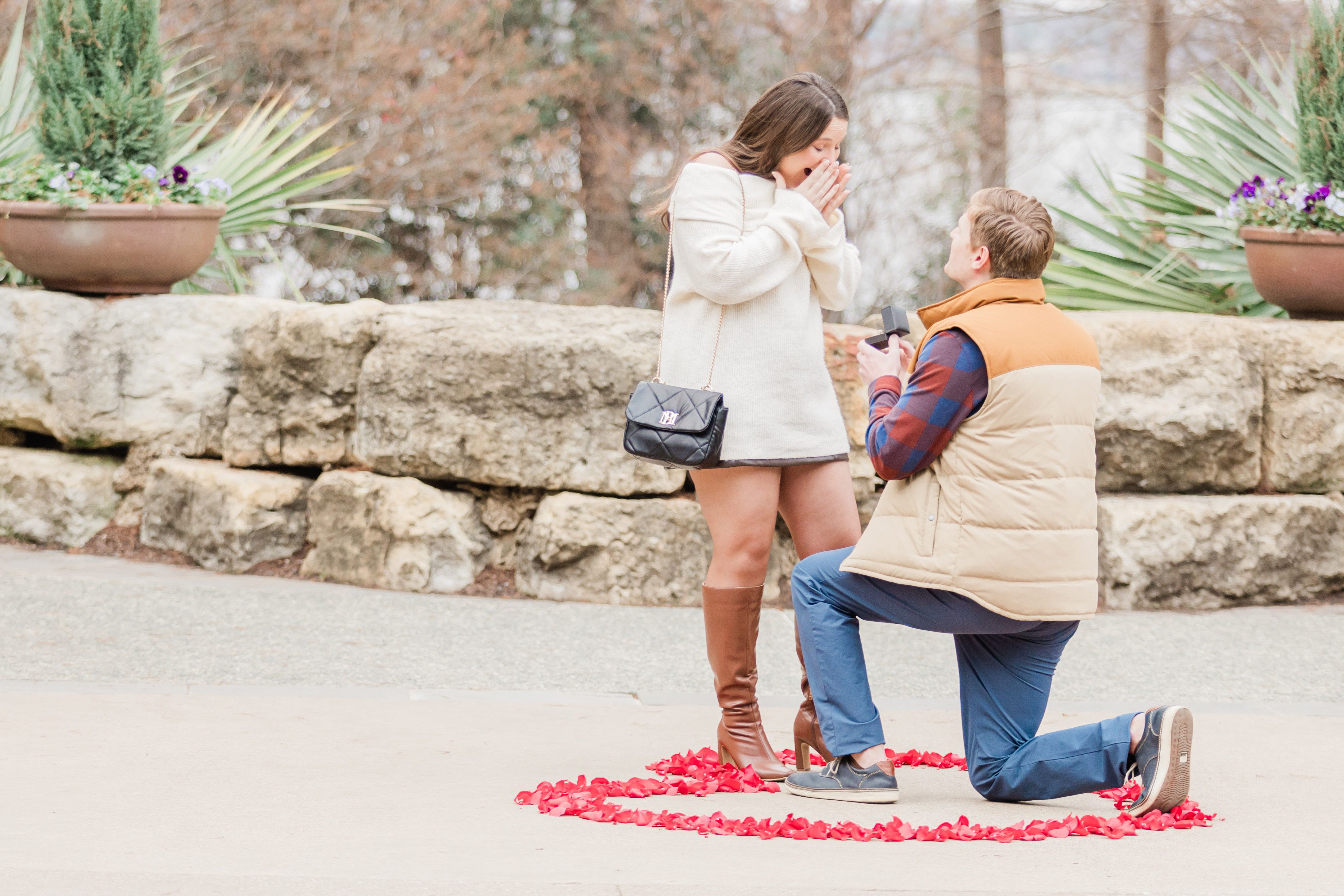 A young mad on his knee as he proposes to his love as she stands inside a heart of red rose petals on the walkway of The Sunken Garden inside The Dallas Arboretum and Botanical Garden. Image captured by Dallas wedding photographer, Arlene Stepanian Photography.