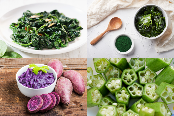 Thực phẩm có kết cấu dính nhớt rất giàu chất xơ hoà tan rất tốt cho hệ vi sinh vật - Lê Công Hiệp Thực phẩm có kết cấu dính nhớt rất giàu chất xơ hoà tan rất tốt cho hệ vi sinh vật - Lê Công Hiệp