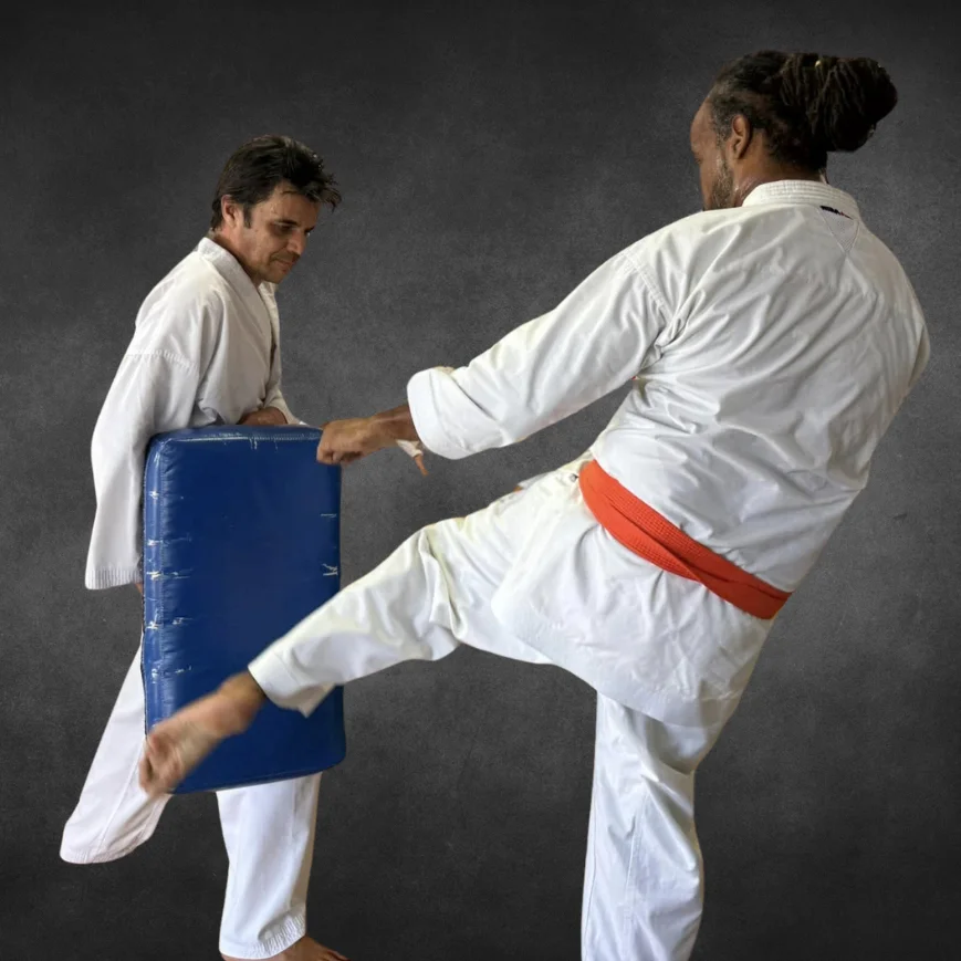 Adults Karate