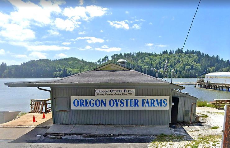 Oregon Oyster Farms