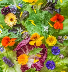 edible flowers