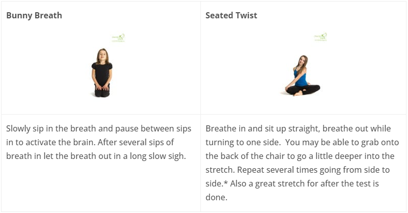 Bunny breath and seated twist