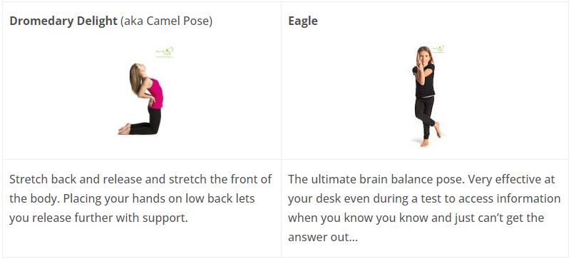 Camel and Eagle yoga pose