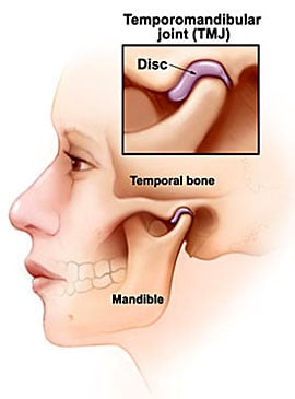 Temporomandibular joint