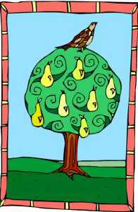 partridge in pear tree