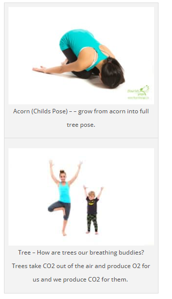 acorn child pose