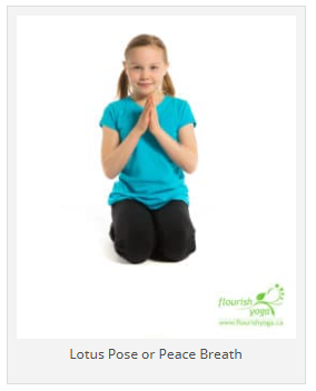 Lotus Pose