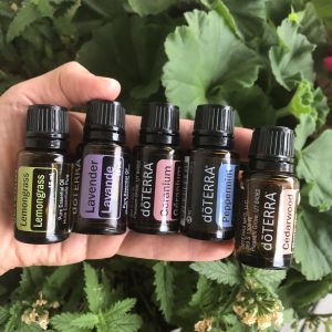 Bug Spray Oils