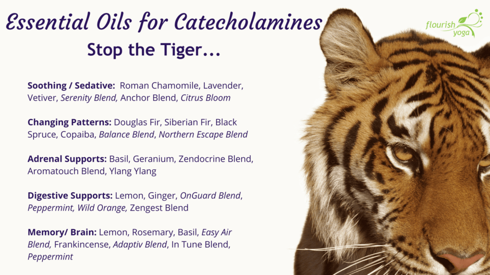 Essential oils for Catecholamines