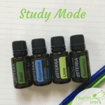 study mode essential oils