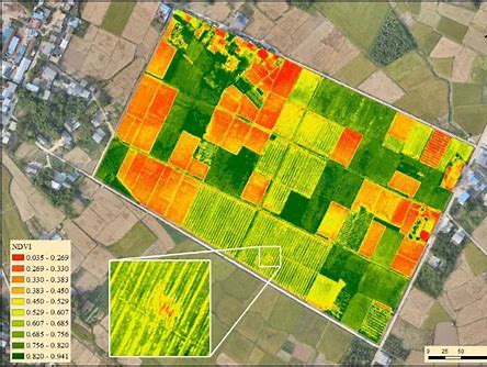 Crop Monitoring