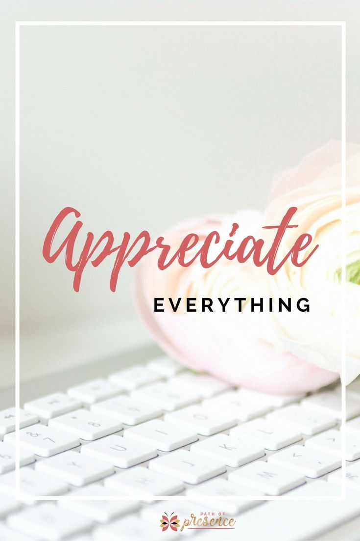 Appreciate Everything Appreciate Everything