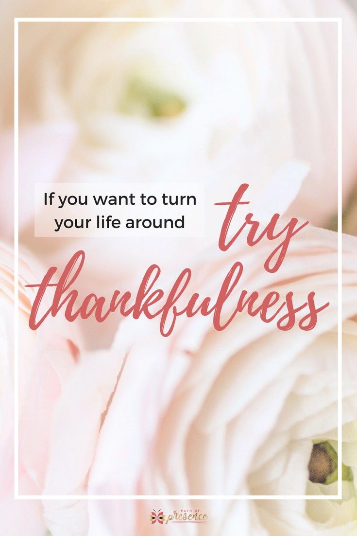 try thankfulness try thankfulness