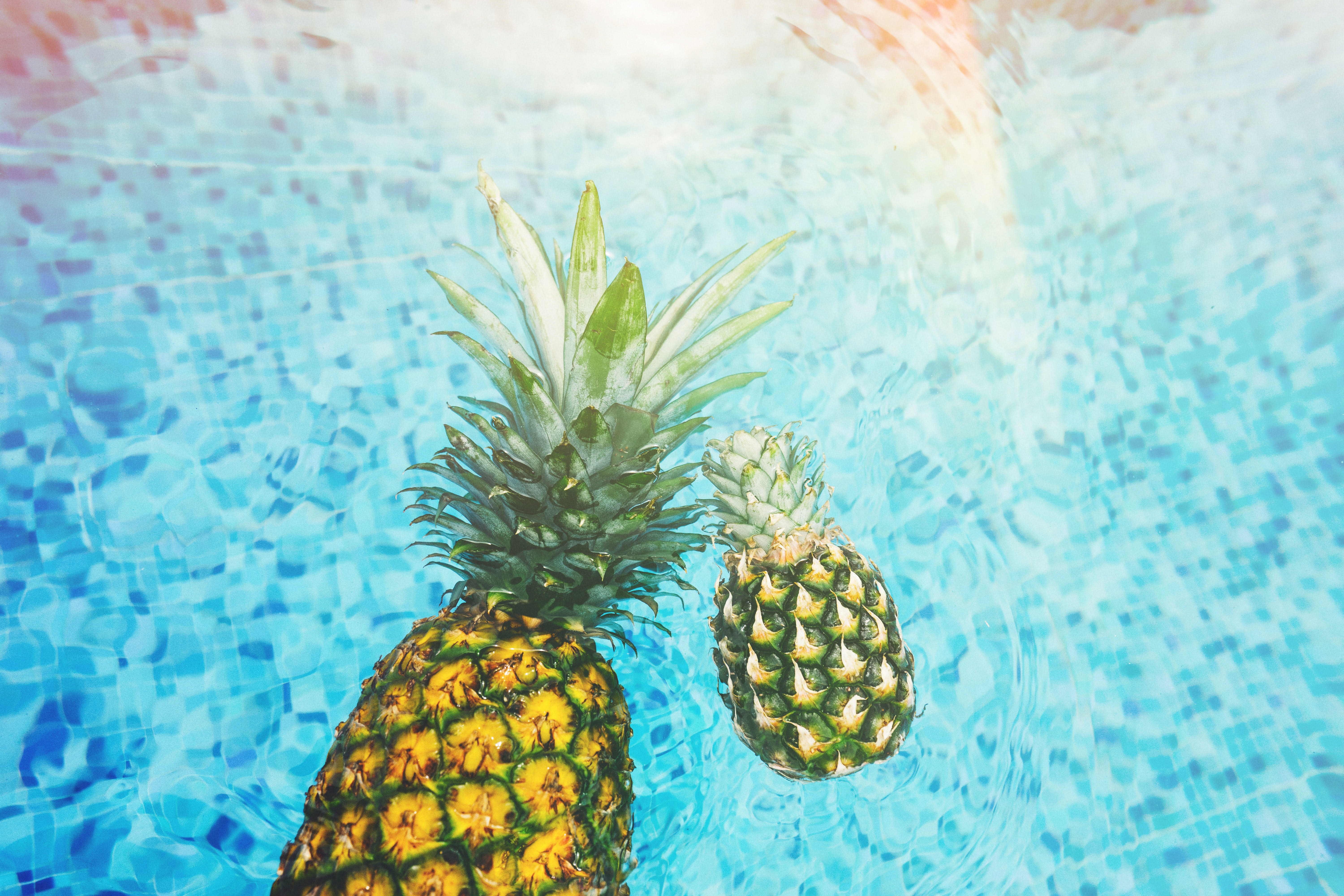 pineapples - pool 