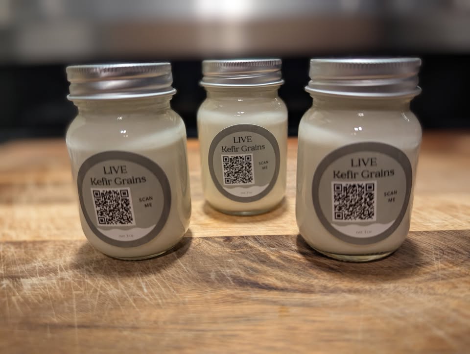 Milk Kefir Grains – Price Includes Shipping Live Milk Kefir with ADD ON- ICE PACK INCLUDED