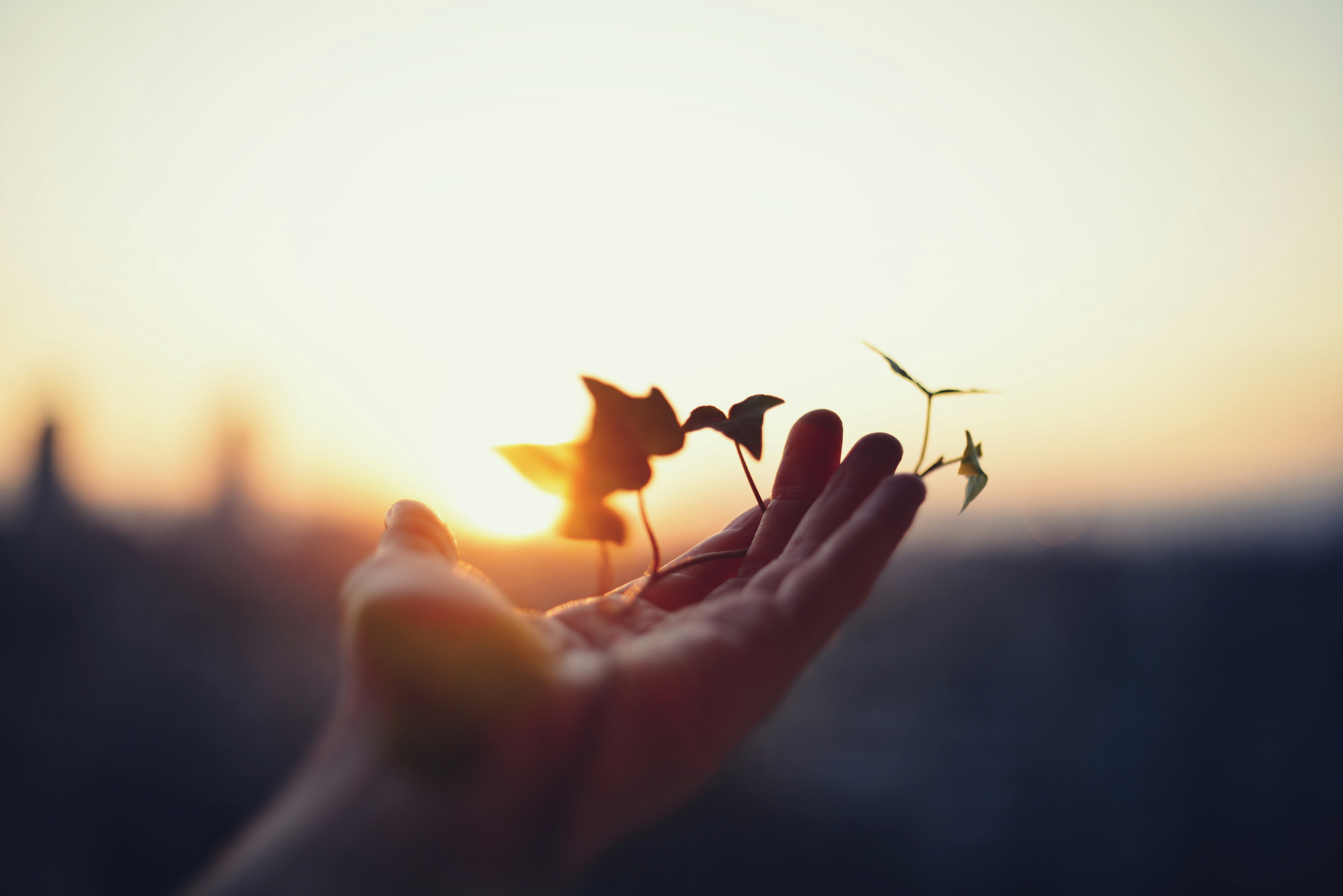 Trust in Abundance