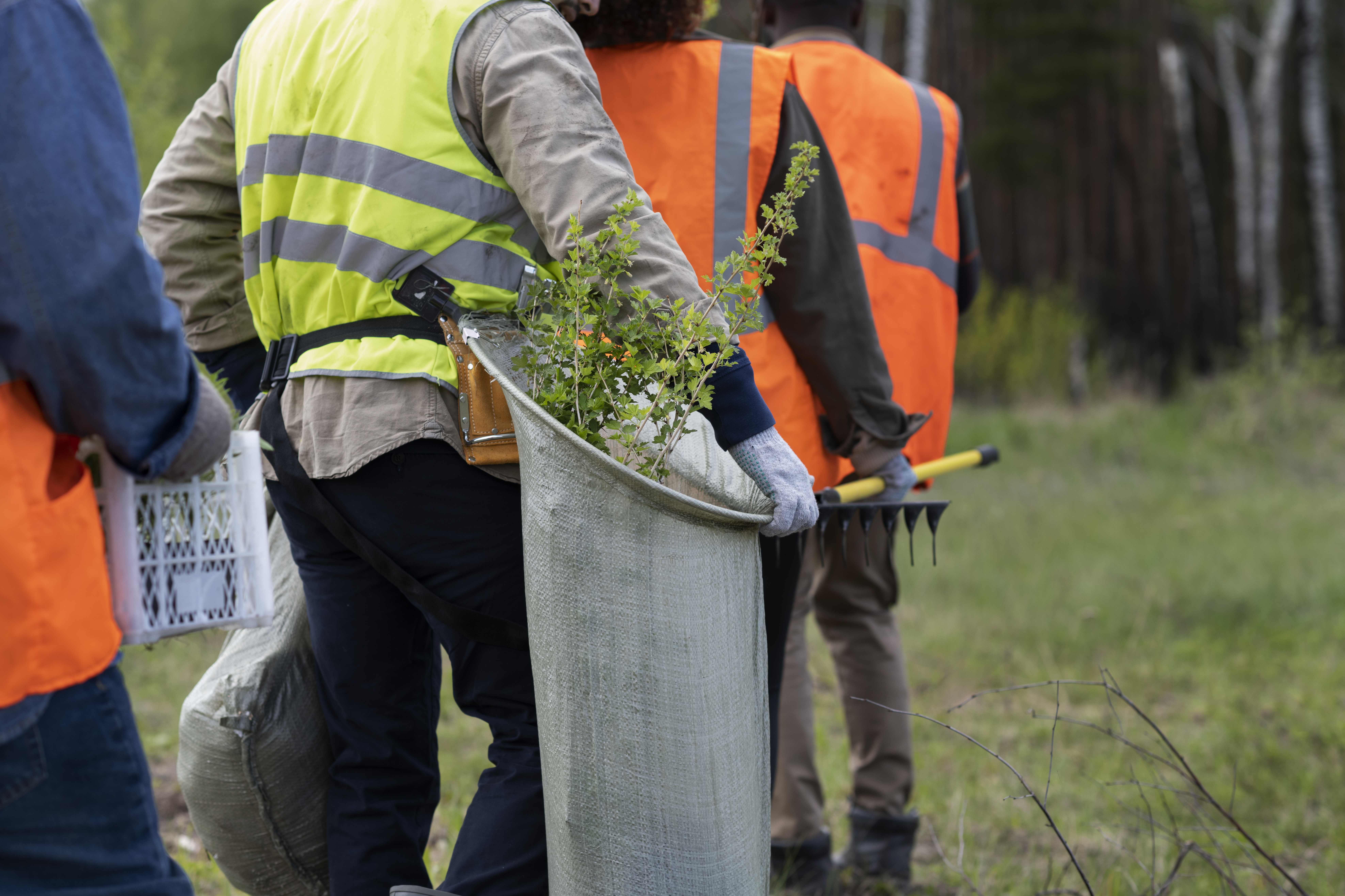Tree Care services boise Tree Care services boise
