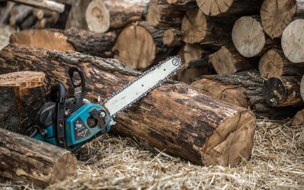 How Much Does Tree Removal Really Cost? A Homeowner’s Guide to Pricing