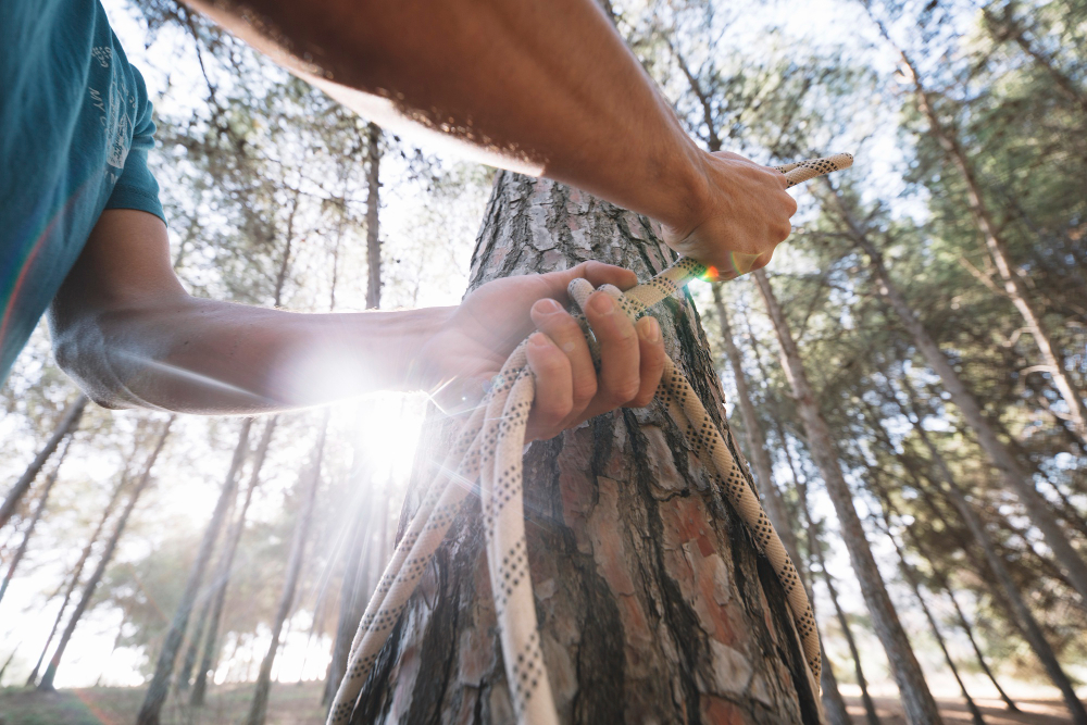 Tree Cabling Explained: How to Protect Aging Trees from Storm Damage
