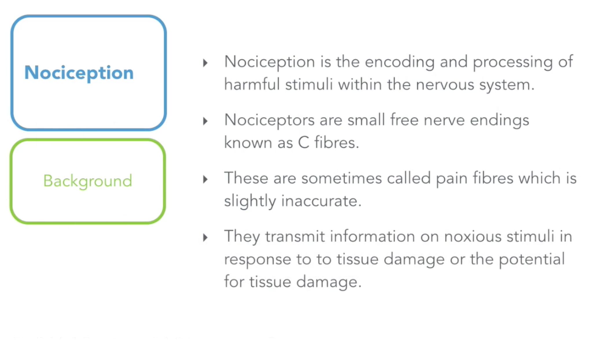 AMN, Nociception