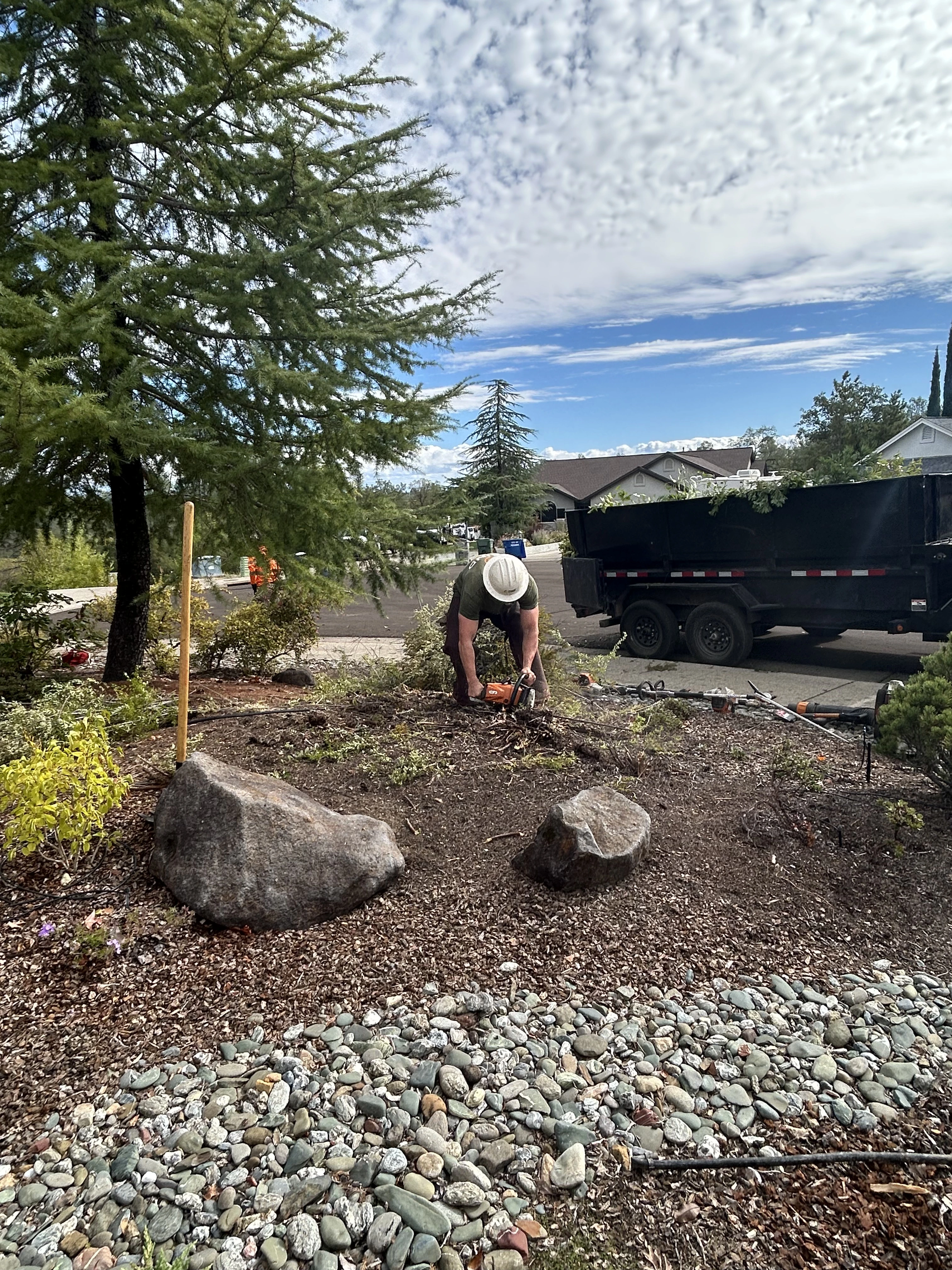 Tree Removal Equipment